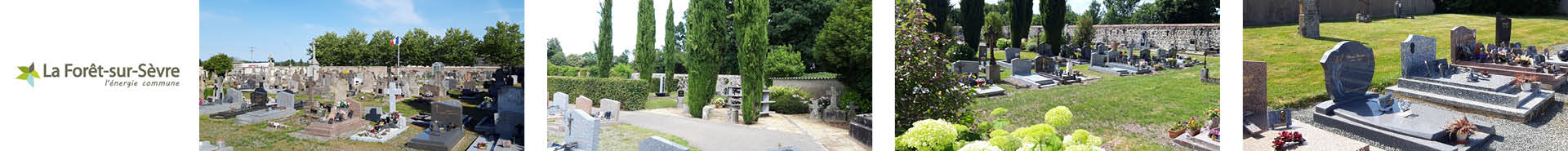 Bandeau la_foret_sur_sevre