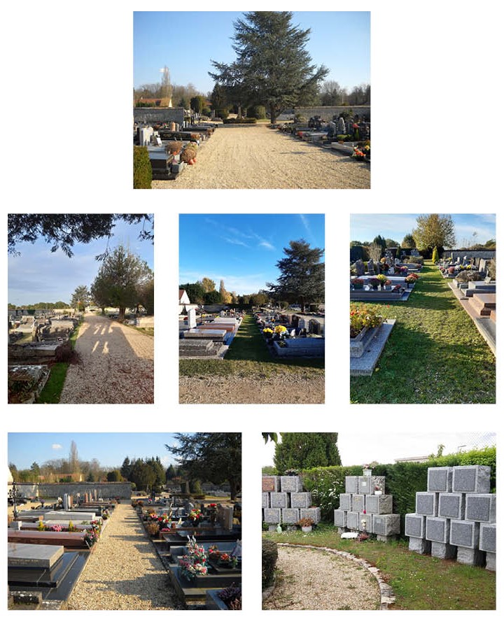 montage_photo2.jpg